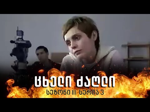 ცხელი ძაღლი | სეზონი 3 სერია 3